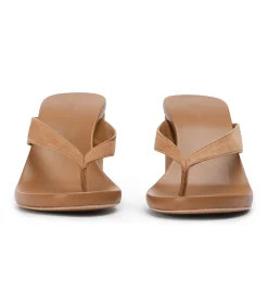 Avanti Butterscotch Suede