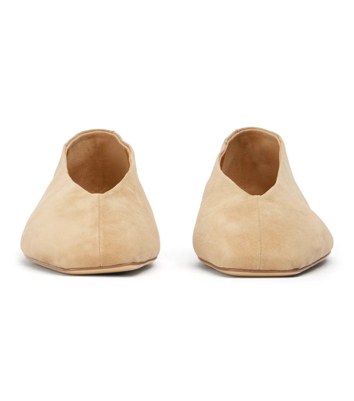 Brash Wheat Suede