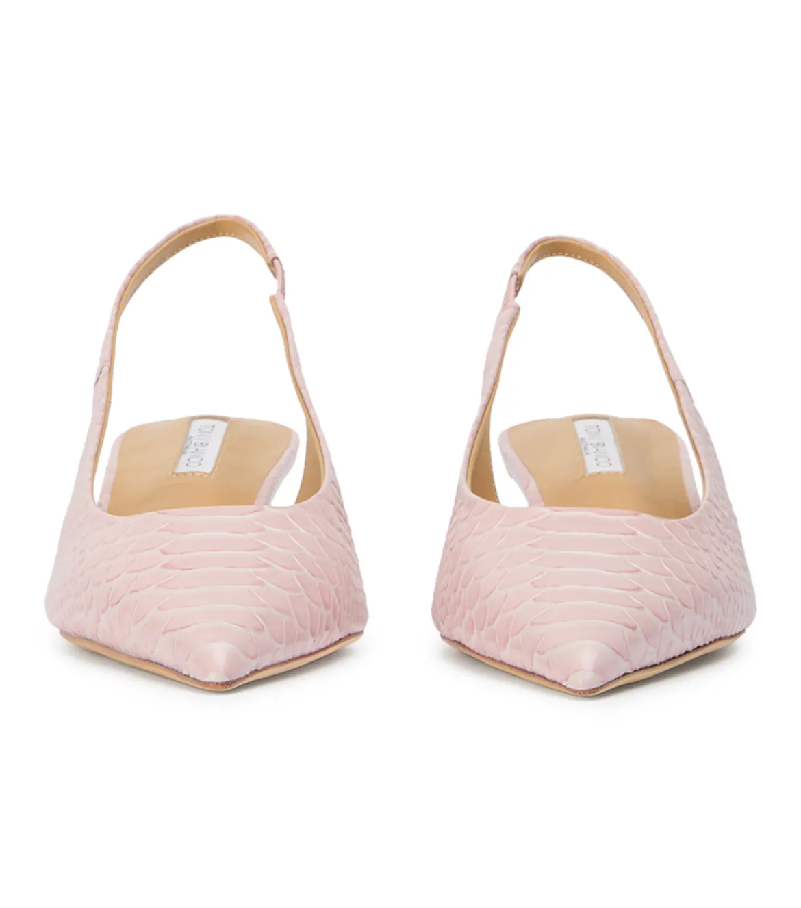 Catie Pink Python
