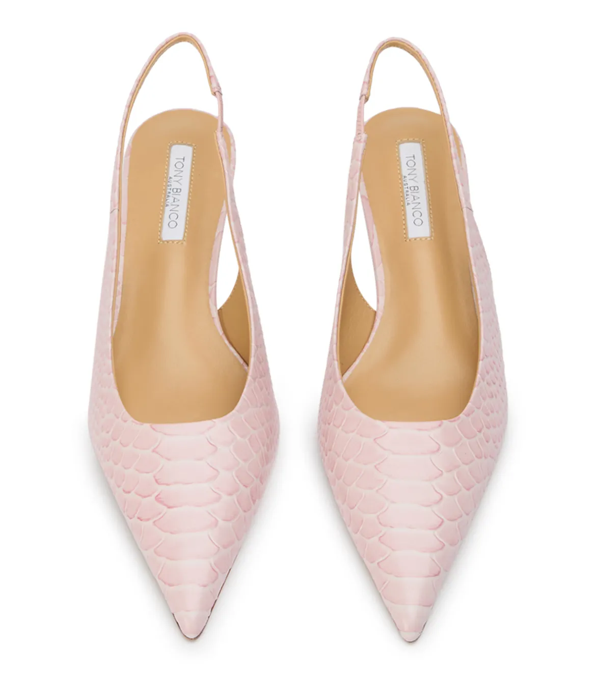 Catie Pink Python