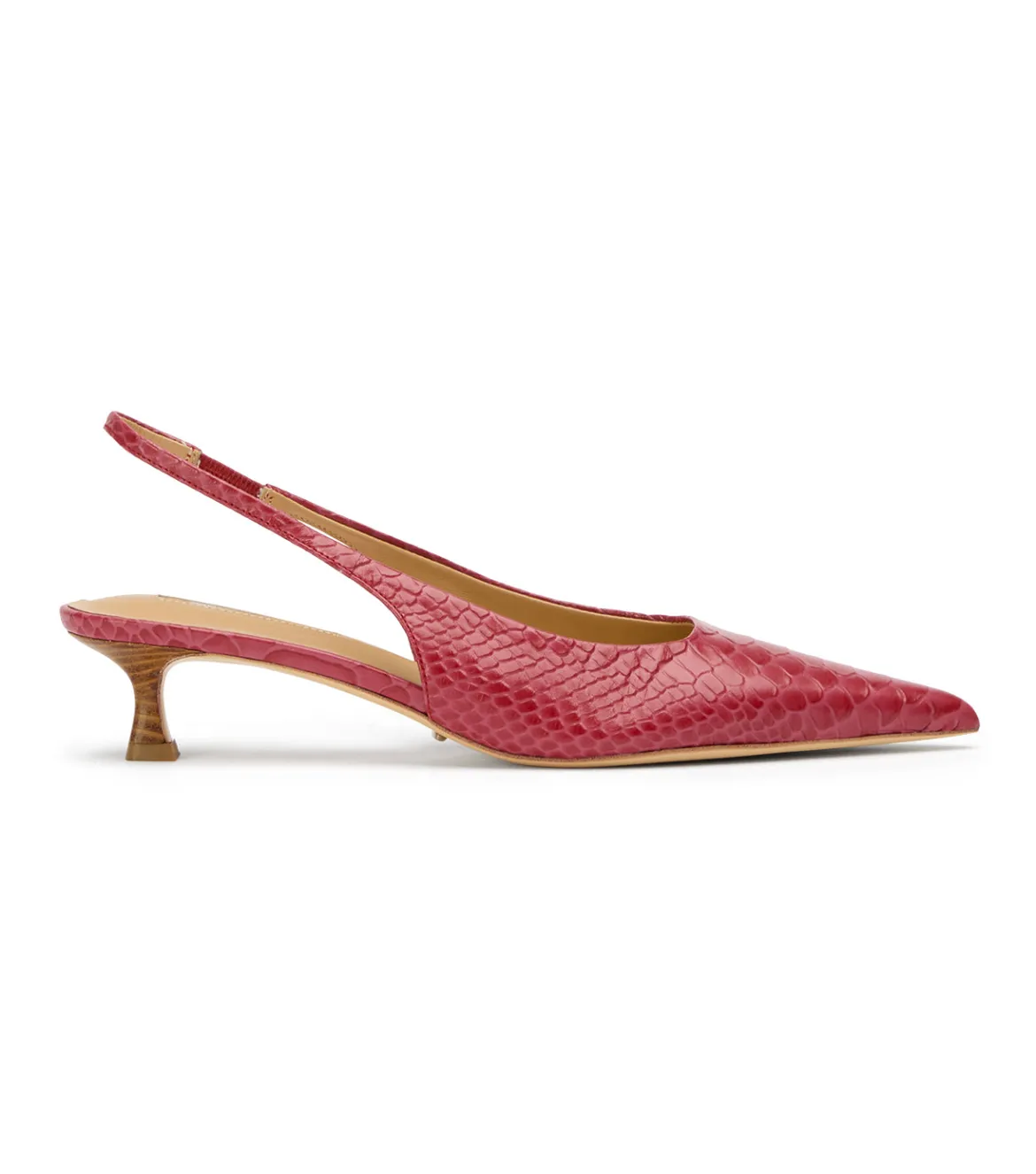 Catie Scarlet Python