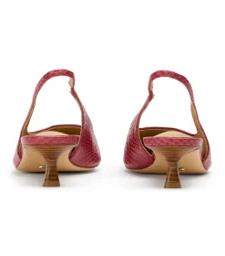 Catie Scarlet Python