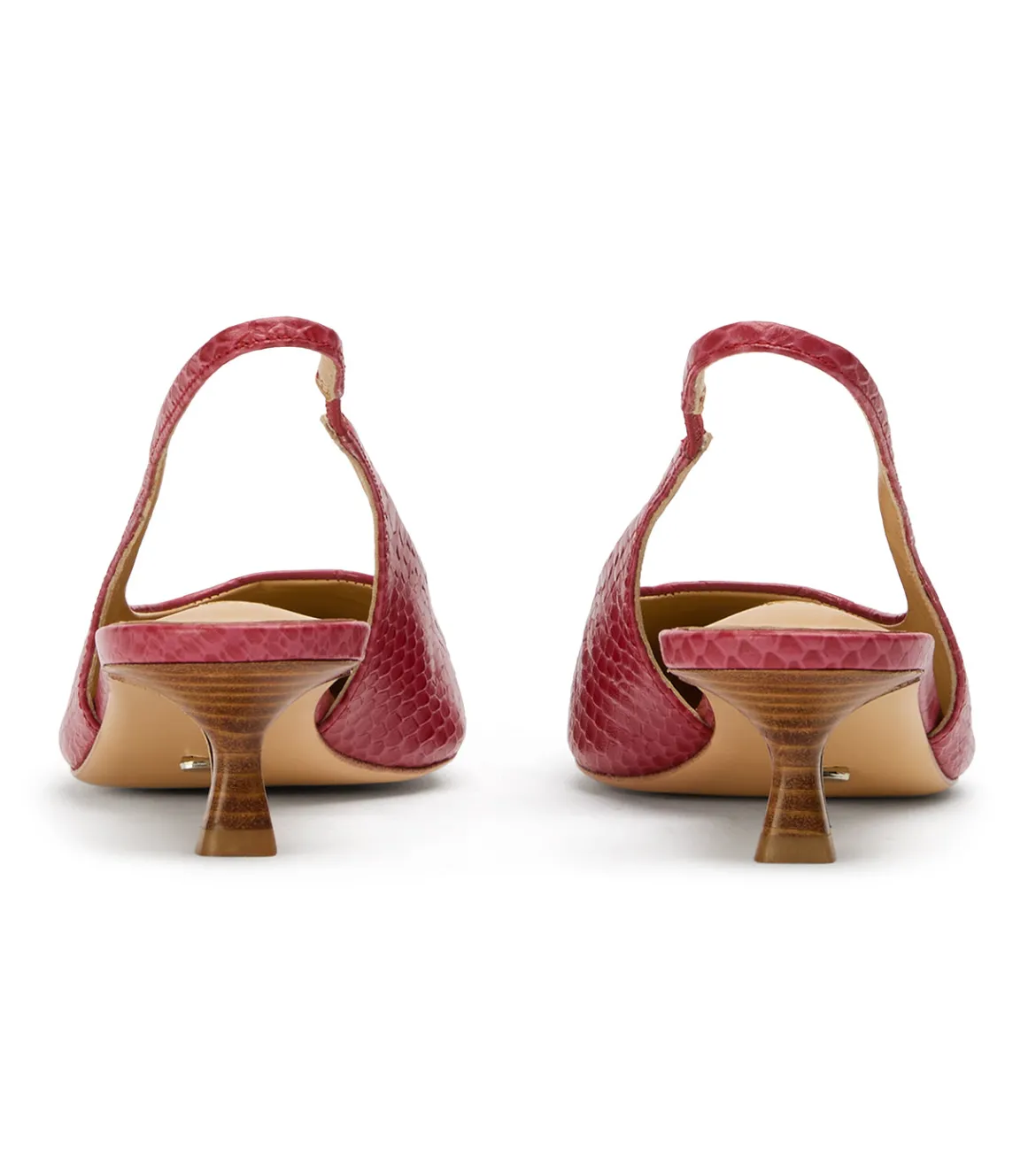 Catie Scarlet Python
