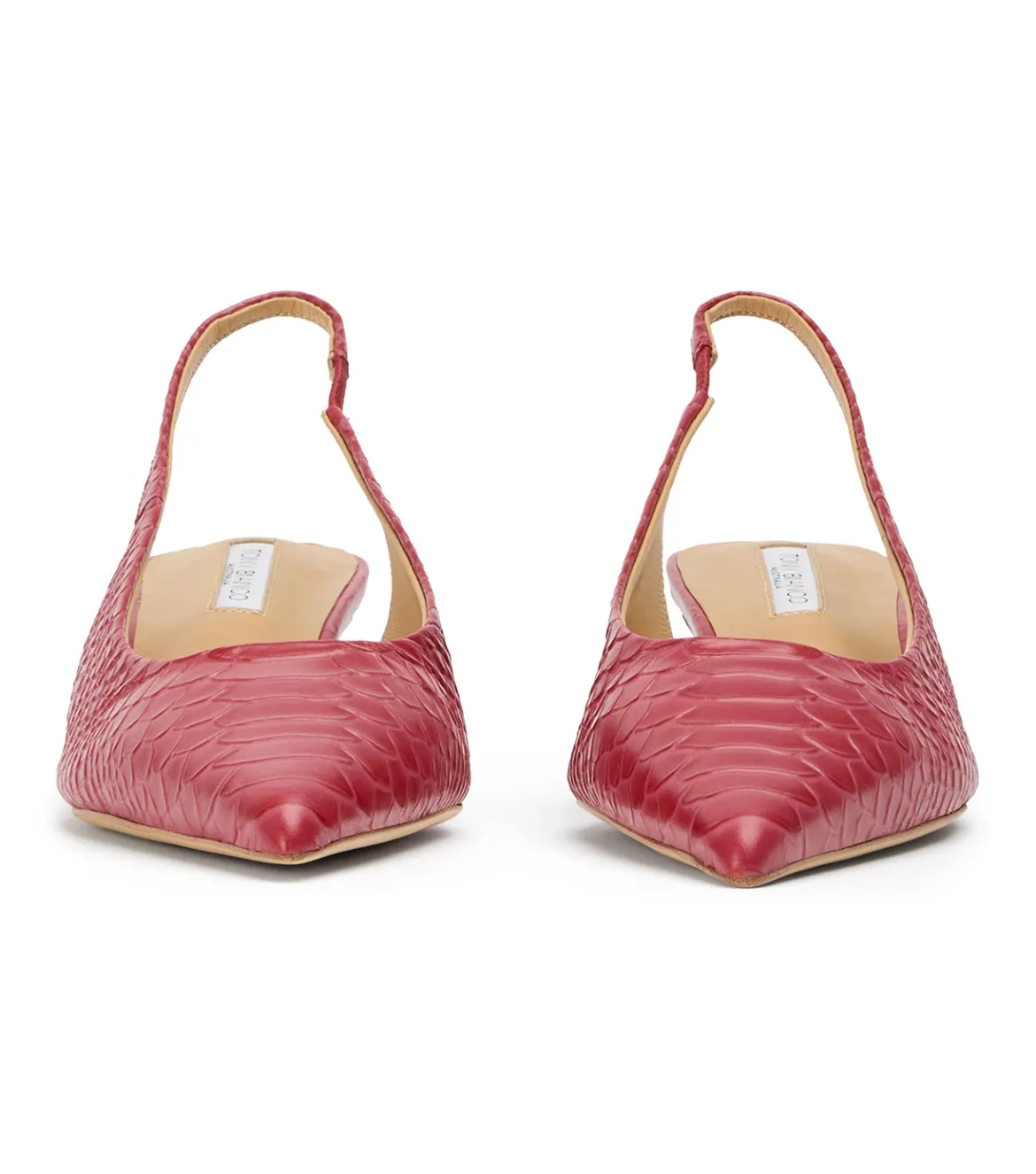 Catie Scarlet Python
