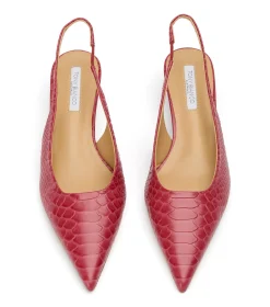 Catie Scarlet Python
