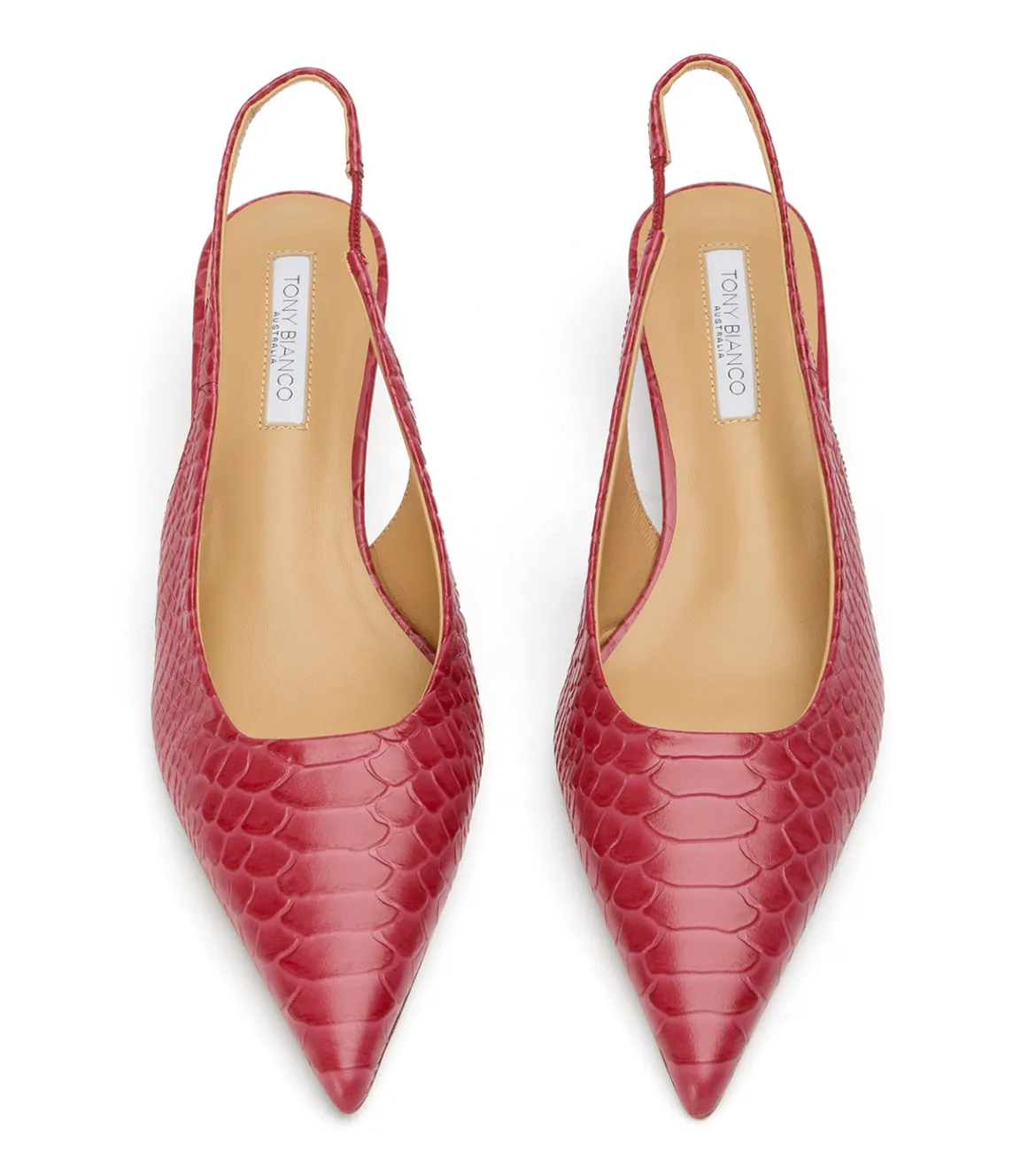 Catie Scarlet Python