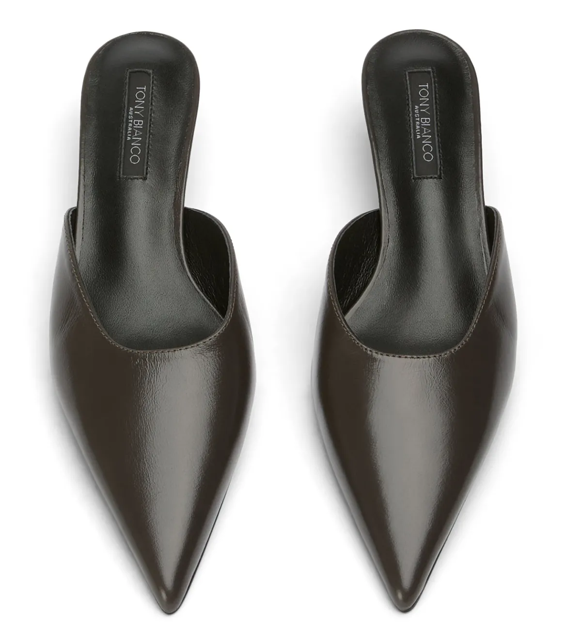 Collette Choc Valencia