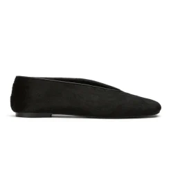 Concorde Black Pony