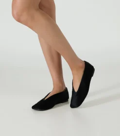 Concorde Black Pony
