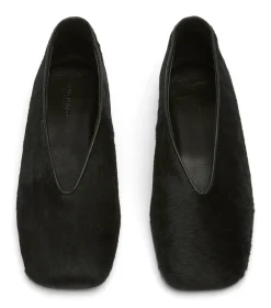 Concorde Black Pony