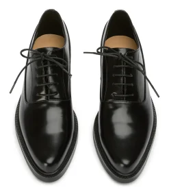 Dani Black Hi Shine