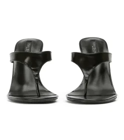 Dynasty Black Hi Shine