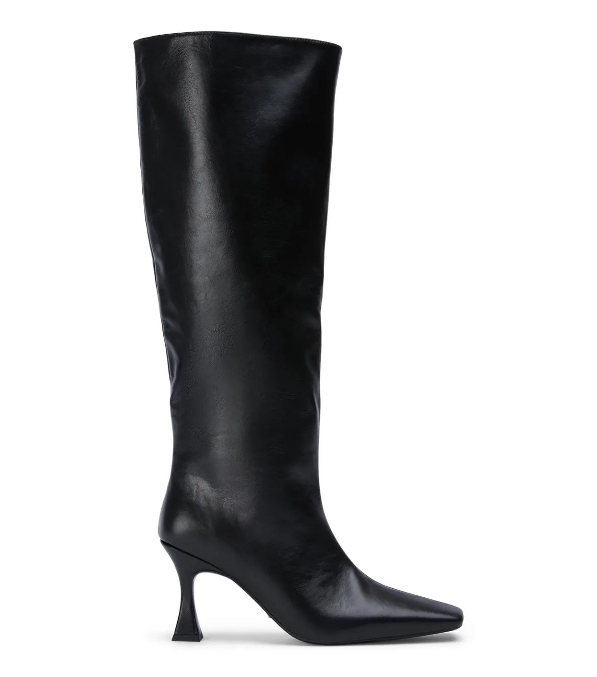Fabulous Black Venice