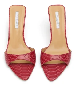 Hallie Scarlet Python