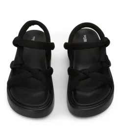 Jasper Black Scuba