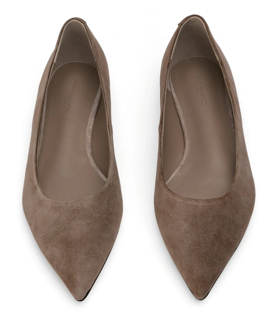 Jesse Ashen Suede