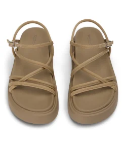 Jett Stone Scuba