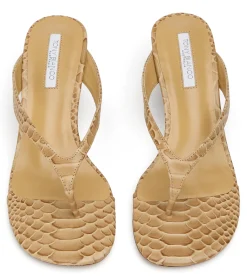 Krista Tan Python