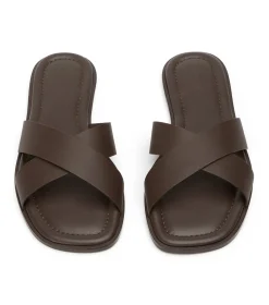 Maple Choc Como
