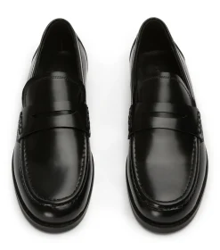 Zac Black Hi Shine
