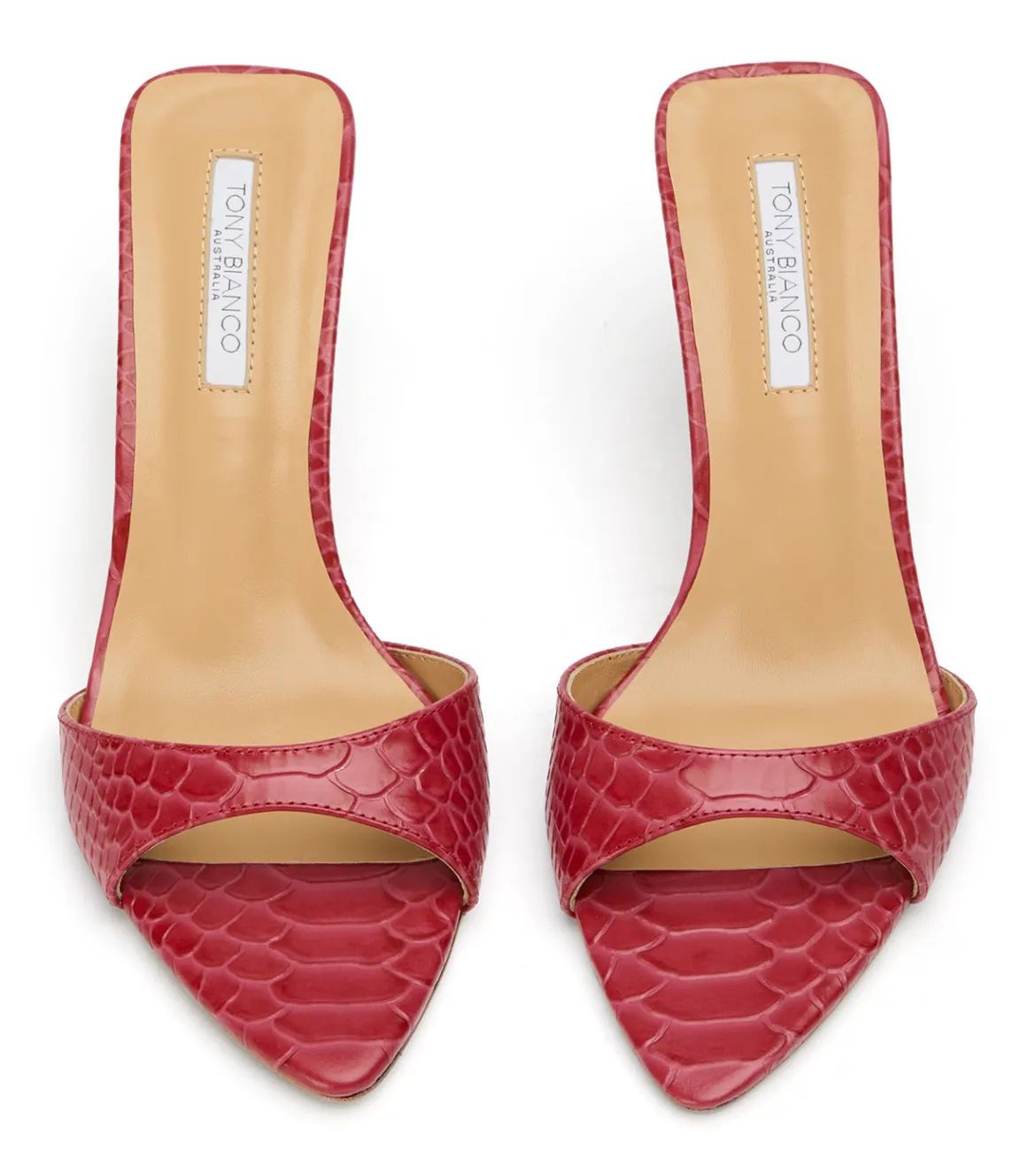 Hallie Scarlet Python