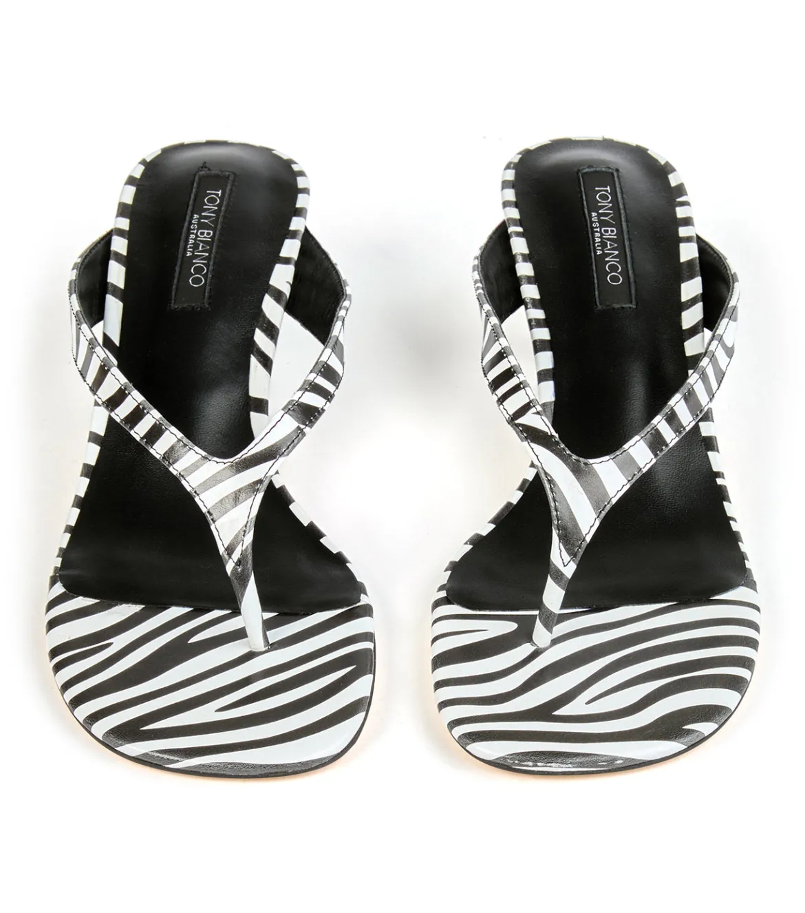 Krista Zebra